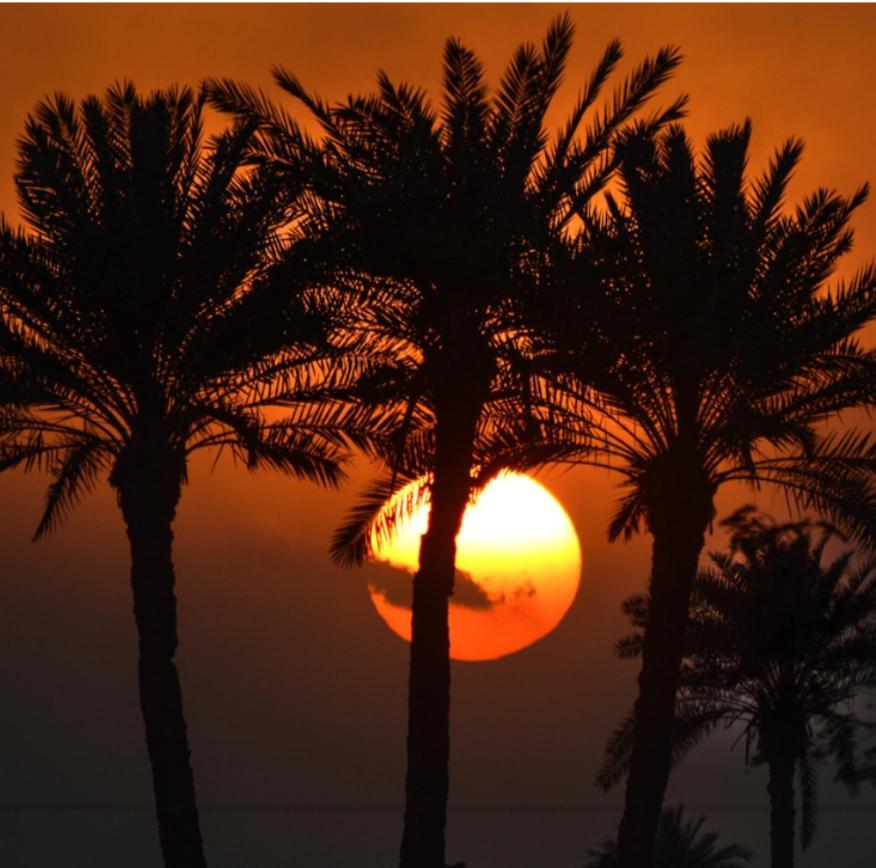 Riad Ambelar Erfoud Exterior foto